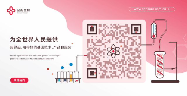 新得利(中国游)集团有限公司官网