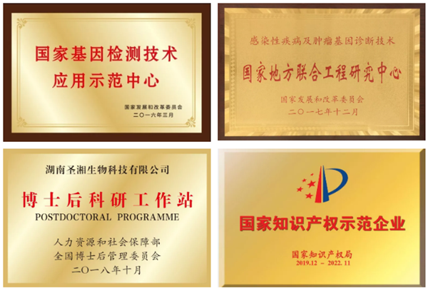 新得利(中国游)集团有限公司官网