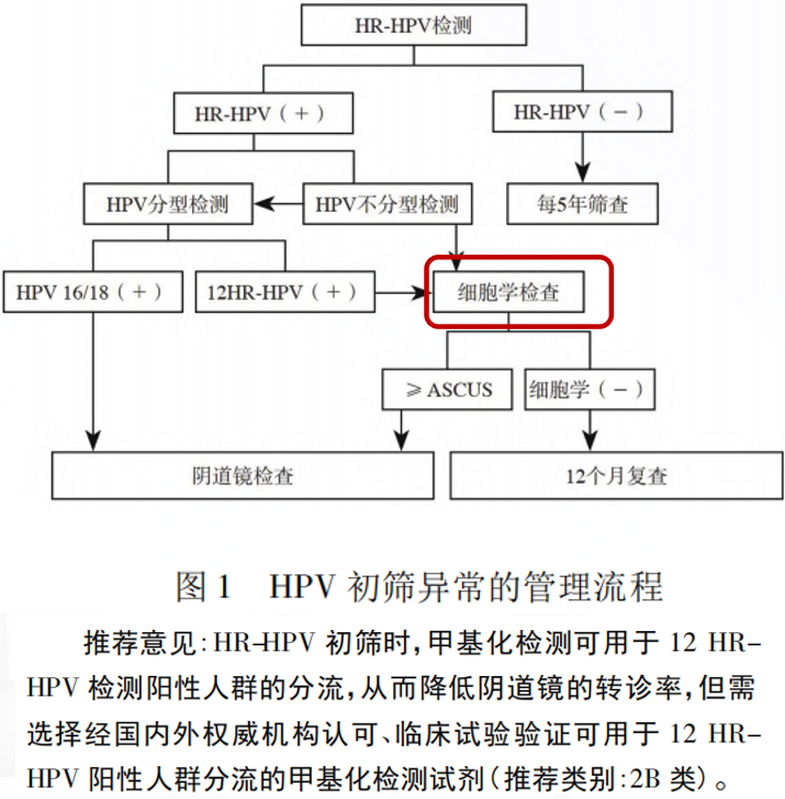 新得利(中国游)集团有限公司官网